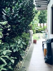 Telok Kurau Ria (D15), Terrace #502421431